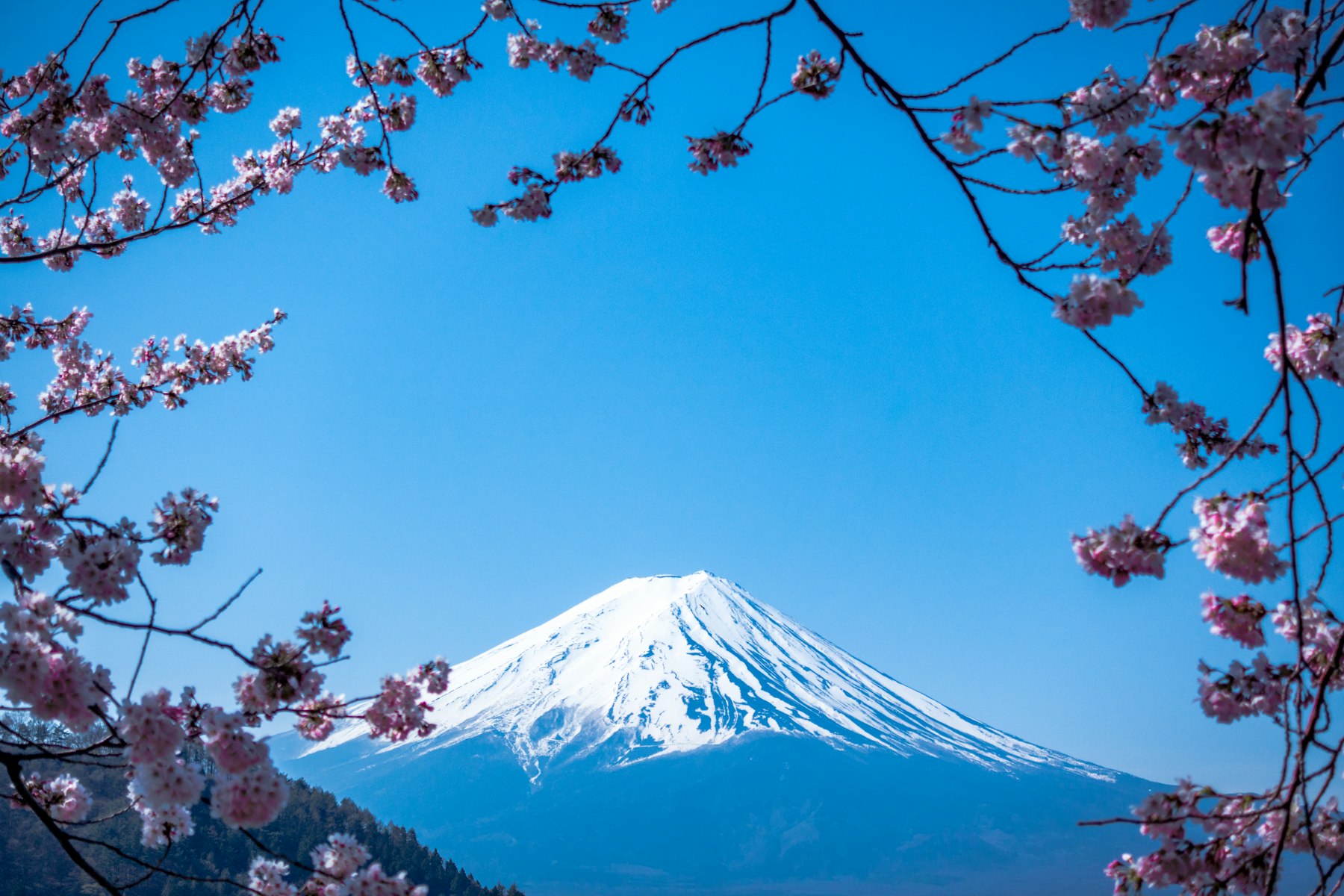 日本本州经典6天5晚